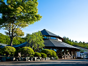 平野温泉 石割の湯